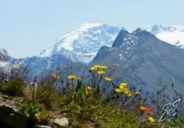 Sciatori Hotel Livigno